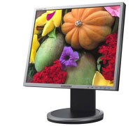 Samsung SyncMaster 740BF (LS17HADKSH)